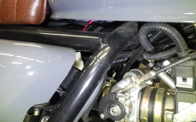 OTHER +MUTTｻﾊﾞｽ250