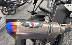 KAWASAKI NINJA ZX-6R 2019 ZX636G