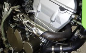 KAWASAKI KLX250 2026 LX250E