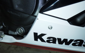 KAWASAKI NINJA 400 2021 EX400G