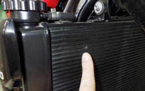 TRIUMPH TRIDENT 660 2026