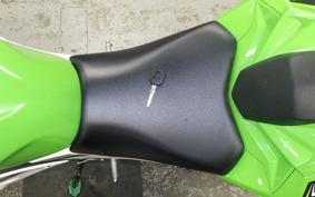 KAWASAKI NINJA 250 2009 EX250L