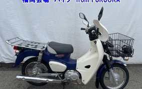 OTHER C110-3