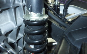 KAWASAKI Z250 Gen.2 2025 EX250Y