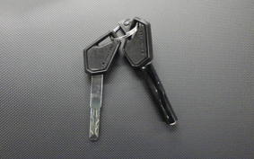 KAWASAKI VERSYS A 2025 LE650H