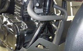 SUZUKI Vｽﾄﾛｰﾑ250A 2011