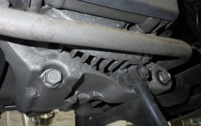 HONDA LEAD 110 2022 JF19