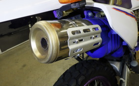 YAMAHA TT250R RAID 4GY