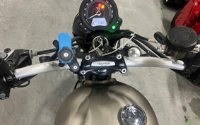 TRIUMPH STREET SCRAMBLER 2021 DAD78G