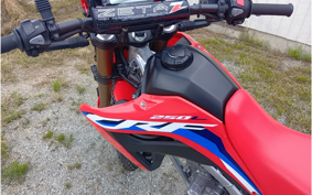 HONDA CRF250L MD47