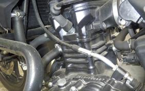 SUZUKI Vｽﾄﾛｰﾑ250A 2023