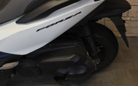 HONDA  FORZA 250 MF13