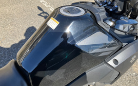 SUZUKI STROM 250ABS DS11A