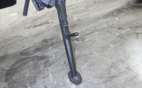 KAWASAKI Z900RS CAFE 2024 ZR900K