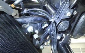 HUSQVARNA SVARTPILEN 401 2023