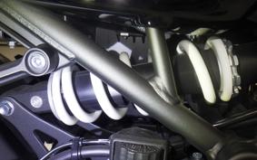 KAWASAKI Z900RS CAFE 2024 ZR900K