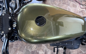HARLEY XL883N 2016 LE2