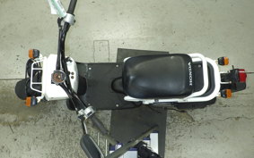 HONDA ZOOMER 2021 AF58
