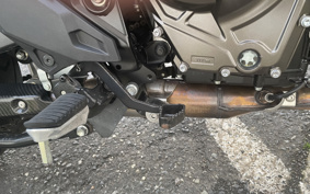 SUZUKI DL650 ( V-Strom 800 ) 2024 EM1BA