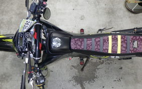 YAMAHA WR250X 2020 DG15J