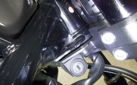 HONDA REBEL 1100 DCT 2021 SC83
