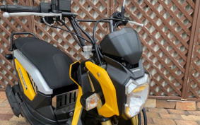 HONDA ZOOMER-X JF52