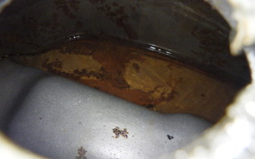 HONDA UNREGISTERED MODEL by BDS50
