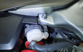 HONDA VTR 250 Gen. 2 MC33