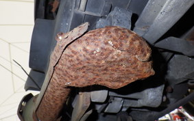 SUZUKI ADDRESS V100 CE11A