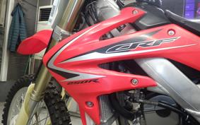 HONDA CRF250 RALLY ME10