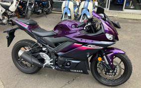YAMAHA YZF-R25 RG74J