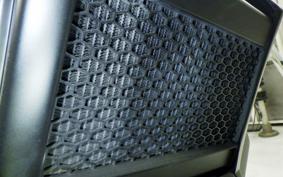 HONDA REBEL 250 S 2019 MC49