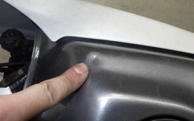 HONDA VT250FG 2022 MC15