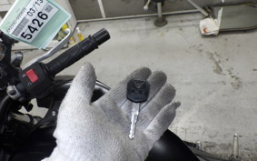 KAWASAKI Z250 ER250C