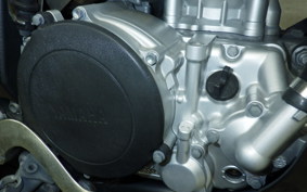 YAMAHA WR250X 2024 DG15J