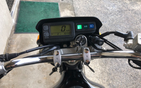 KAWASAKI SUPER SHERPA KL250G