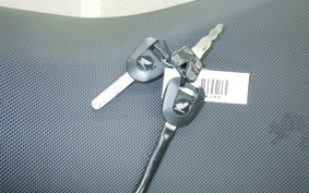 HONDA NX400 2024 NC65