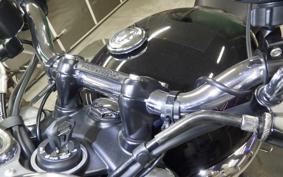 TRIUMPH BONNEVILLE T100 2024