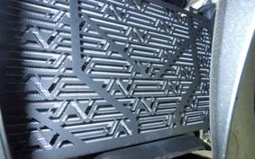 KAWASAKI NINJA 250 2018 EX250Y