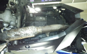 KAWASAKI Z250 SL 2021 BR250E