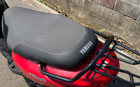 YAMAHA AKUSHI STREET SE53J