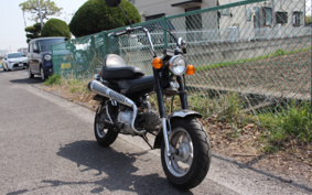 HONDA DUCKS50 ST50