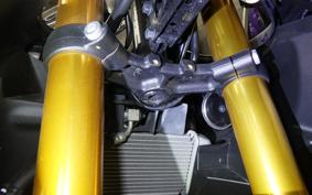 YAMAHA YZF-R15 RG86J