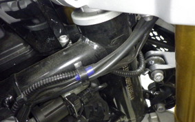 BMW G310GS 2024