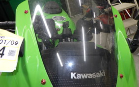 KAWASAKI NINJA 250R EX250K