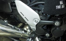 KAWASAKI Z900RS 2021 ZR900C