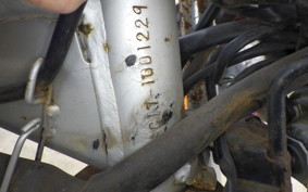 HONDA SOLO 2025 AC17