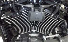 HARLEY FXLRST1920 2026