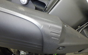 KAWASAKI NINJA ZX-6R A 2024 ZX636J