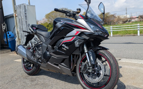 KAWASAKI NINJA 1000 SX 2024 ZXT02K